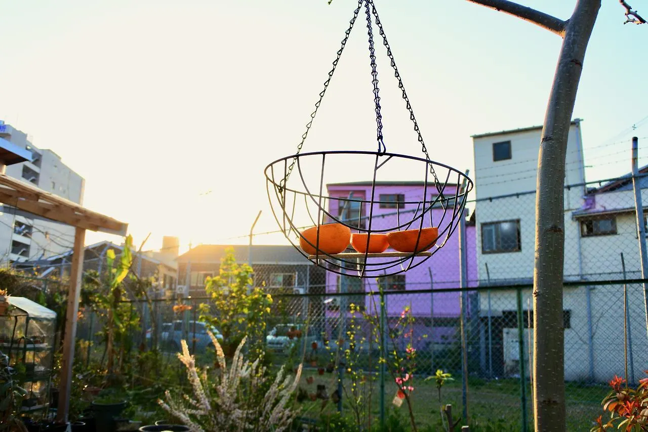Kamagasaki University Of The Arts Cafe Garden Guest House Aka Cocoroom Oszaka 0*,